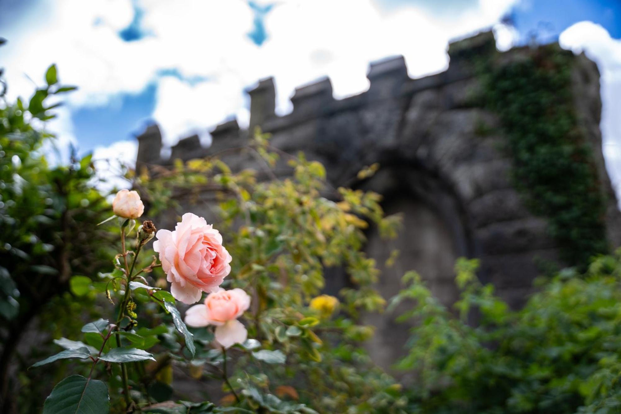 Lonsdale House Boutique Apartments ウルバーストン エクステリア 写真